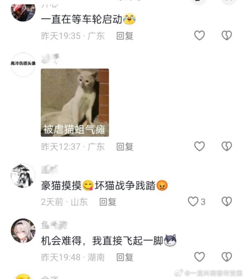 仅用0.1秒猜出性别原视频一只猫趴在车周边