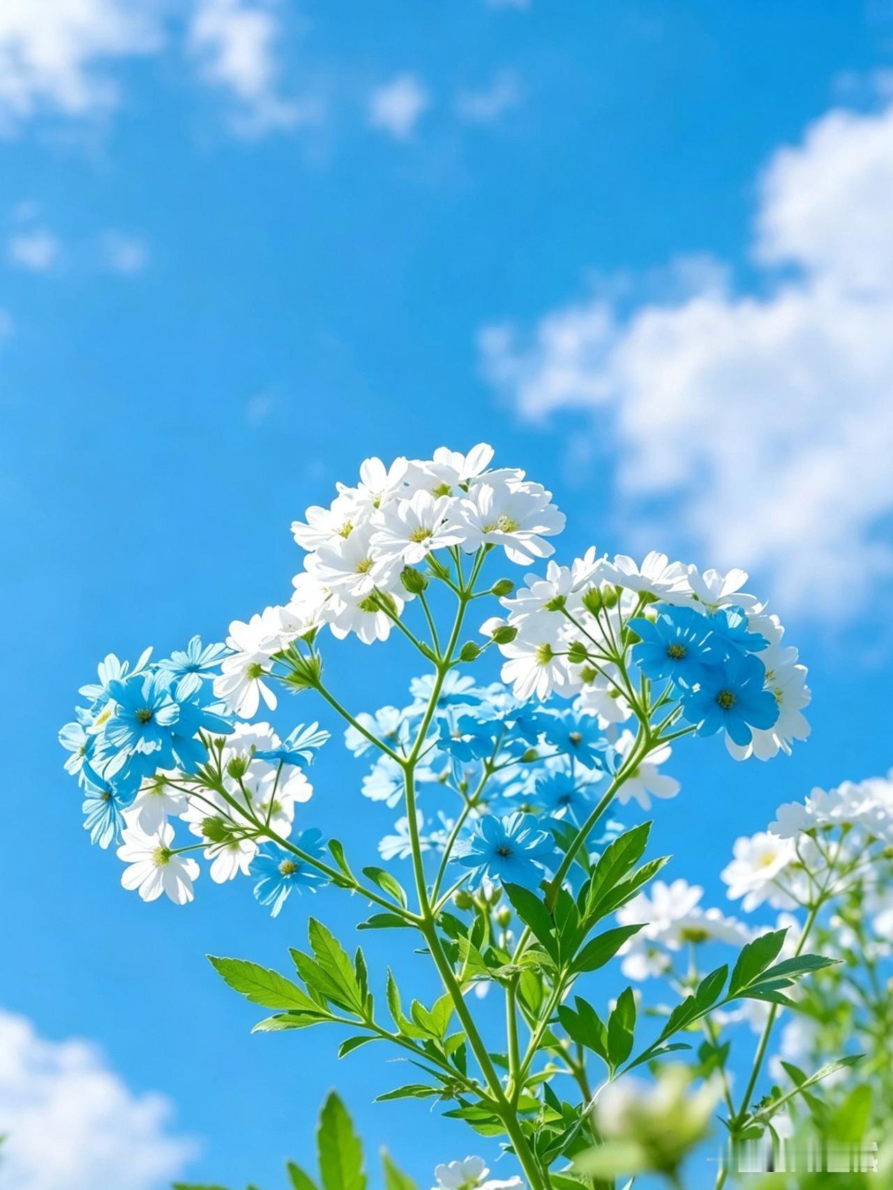 扔垃圾回来我和老公说，养狗的那家真不是人，把狗放出来，谁路过都汪汪叫，他家一楼，