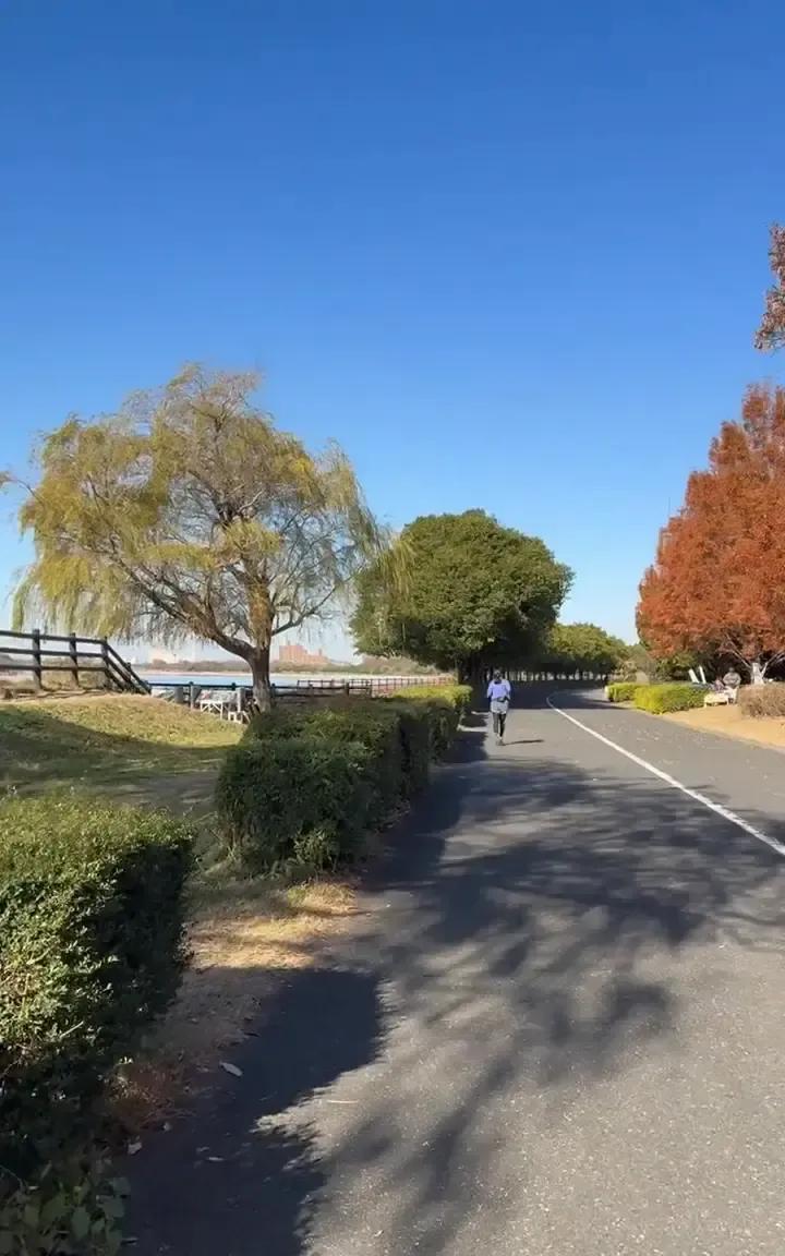 刷到个在日华人发的小作文，说老家亲戚一天三通电话问他安不安全，好像他住在战区。