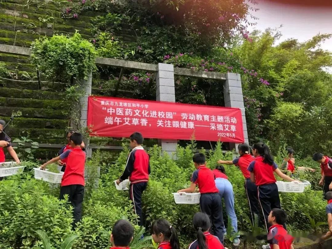 啥啥都进校园，到底是促进学校发展还是影响学校教育教学？也不知道从啥时候起，突