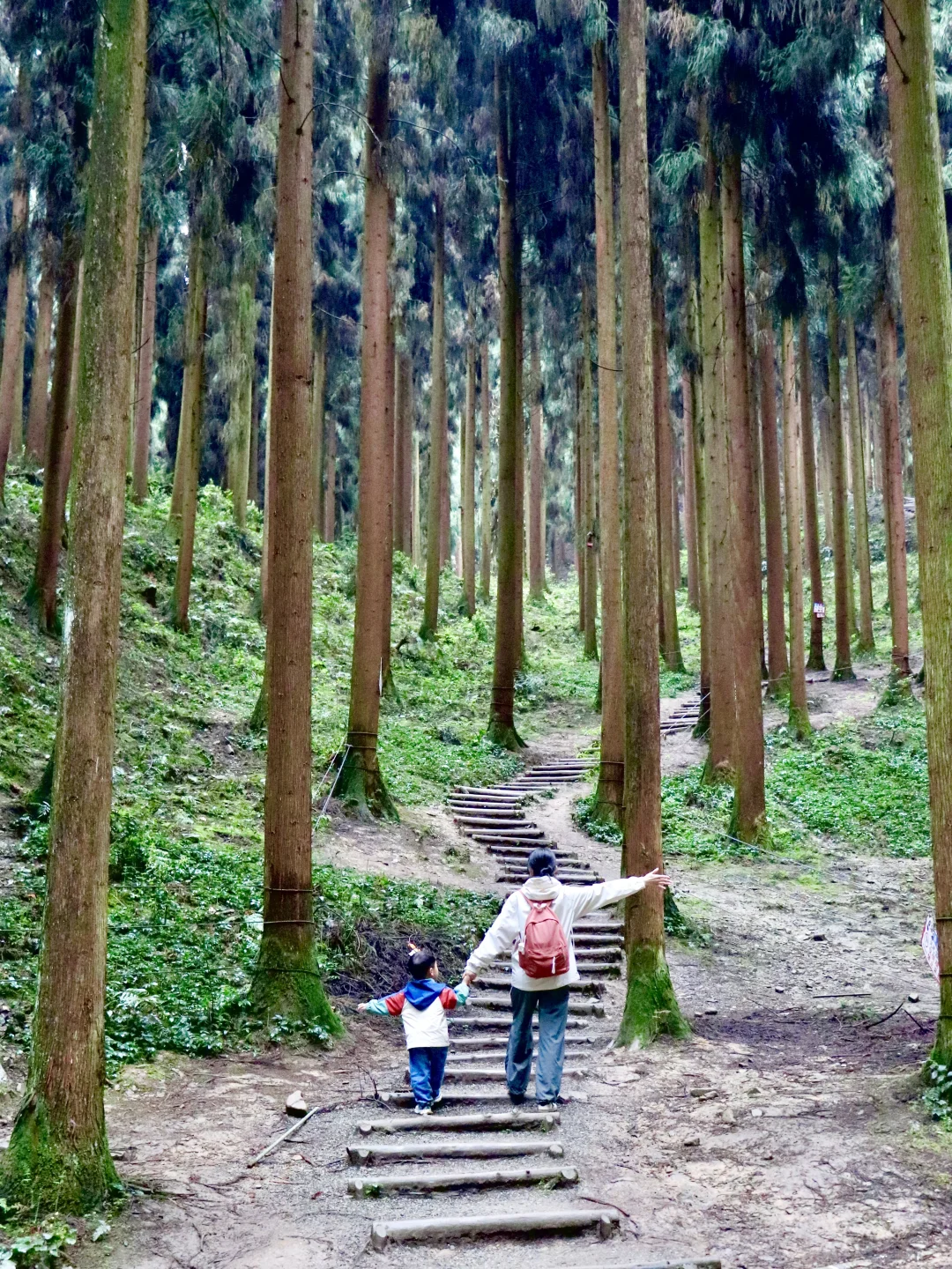 绝美森林徒步路线，清凉不晒，后悔现在才来❗️