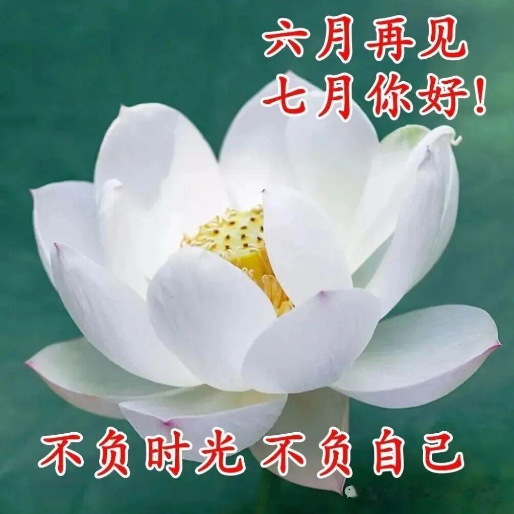 六月再见，七月你好！新的月份开启新的美好，人到晚年不求荣华富贵，只愿家人平安无恙