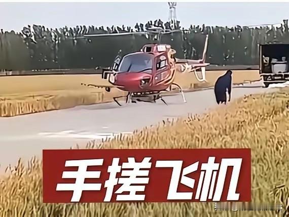 央视财经调查在报道山东邹平面条厂手搓三无飞机一事中，最令我惊奇的是老板那句实话: