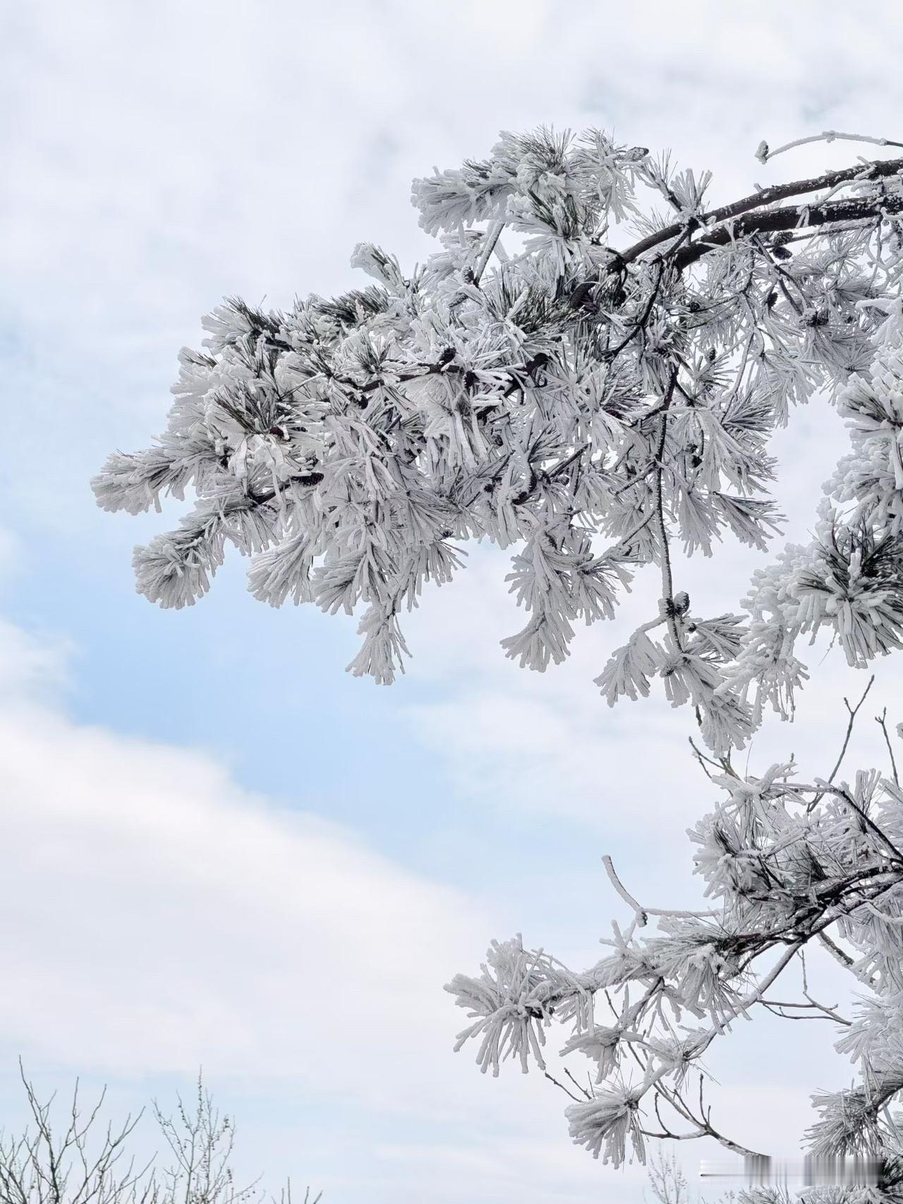 假期最后一天武汉地铁客流量达390万人次以上[呲牙笑][呲牙笑][呲牙笑]爆料身边