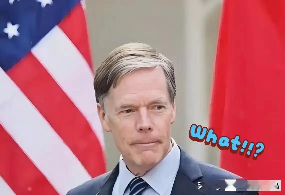 一位美国前大使在媒体上说过，他这辈子都不会忘记一个中国官员对他说的一句话：“谢谢