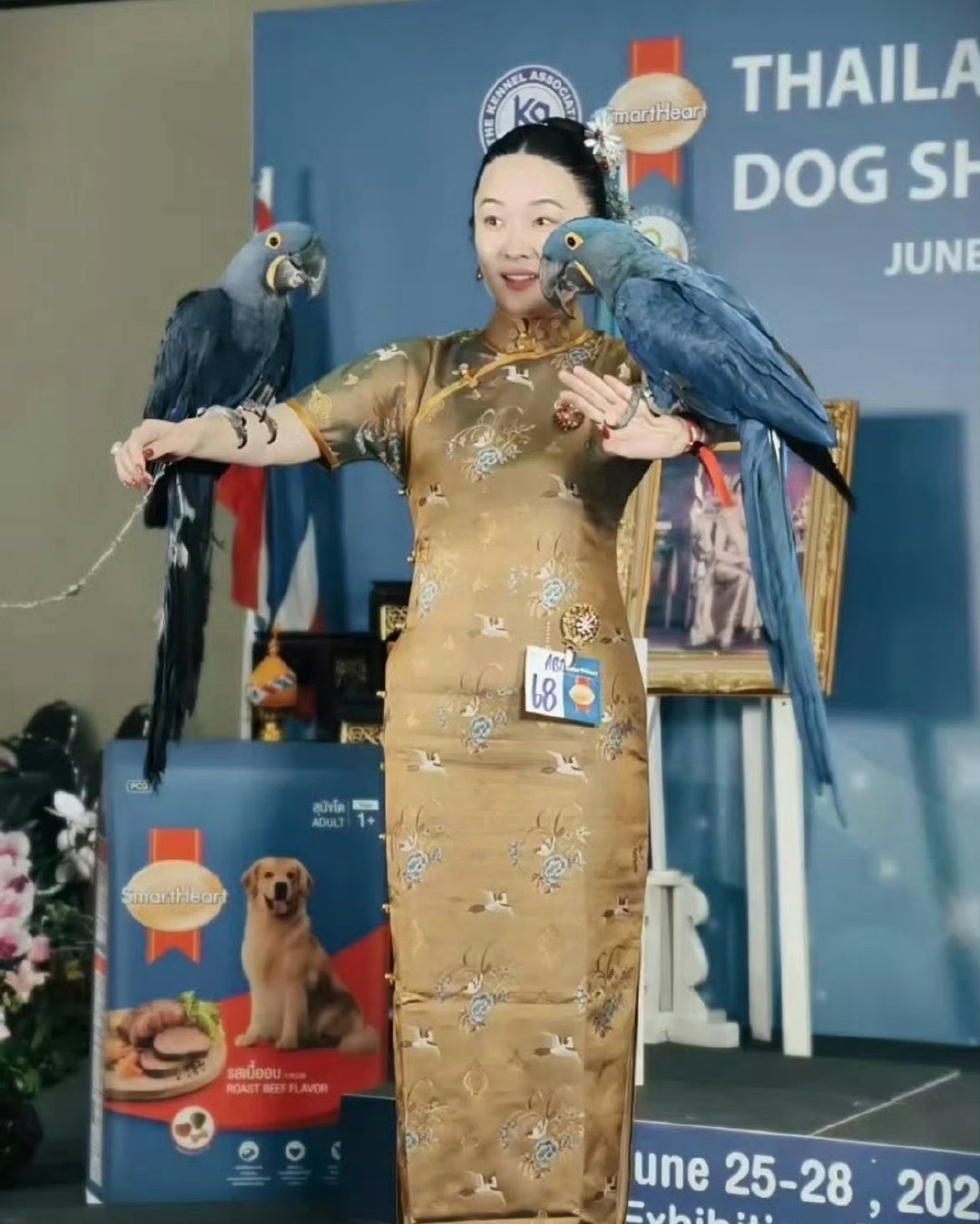 霍思燕家的鸟又夺冠了太牛了👍离开演艺圈之后还有这么好的小众赛道也这么优秀，训狗