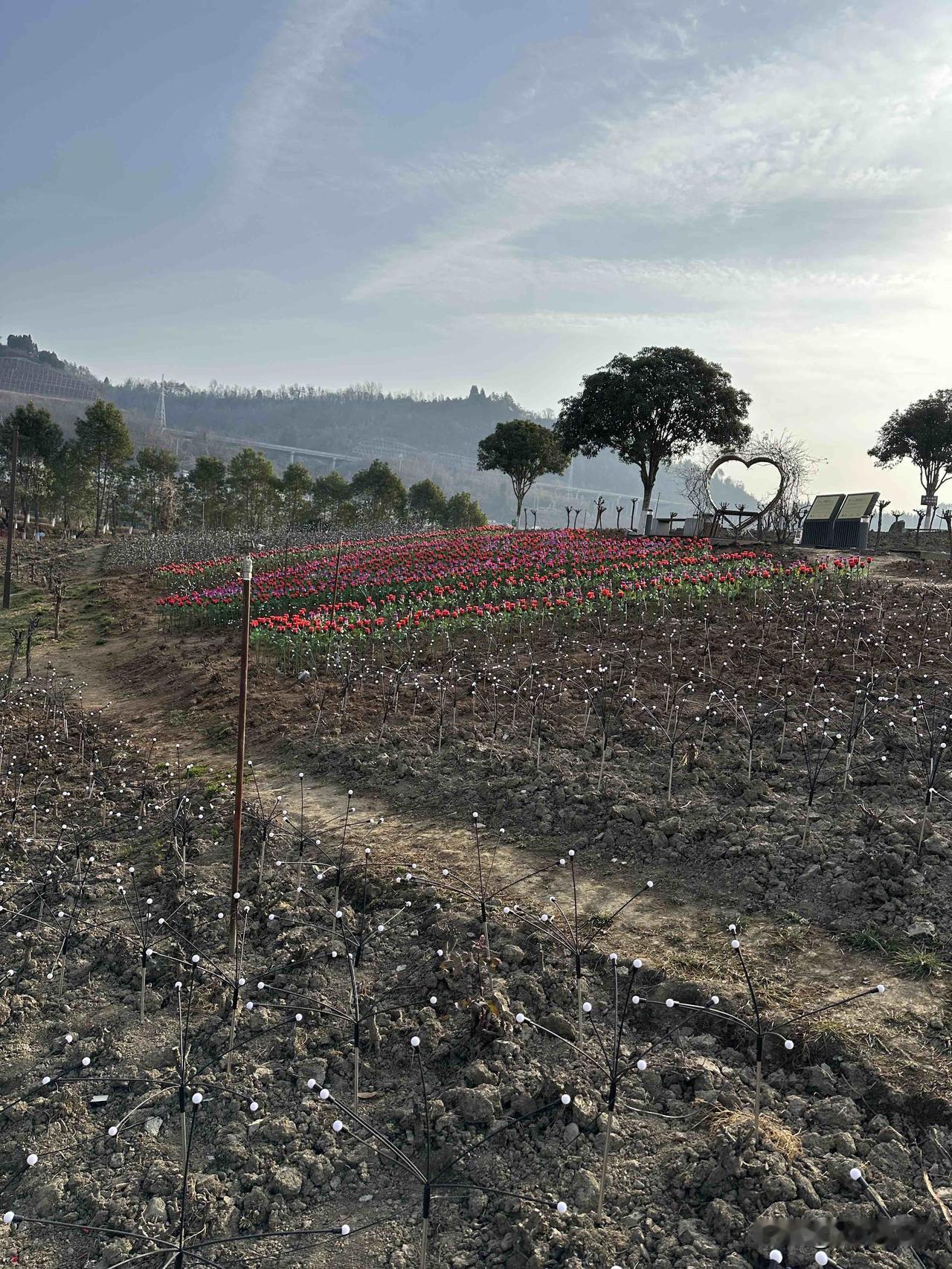 善良不是软弱，是我选择的底色。不讨好谁，不亏欠谁，不算计谁。心干净，行端正，