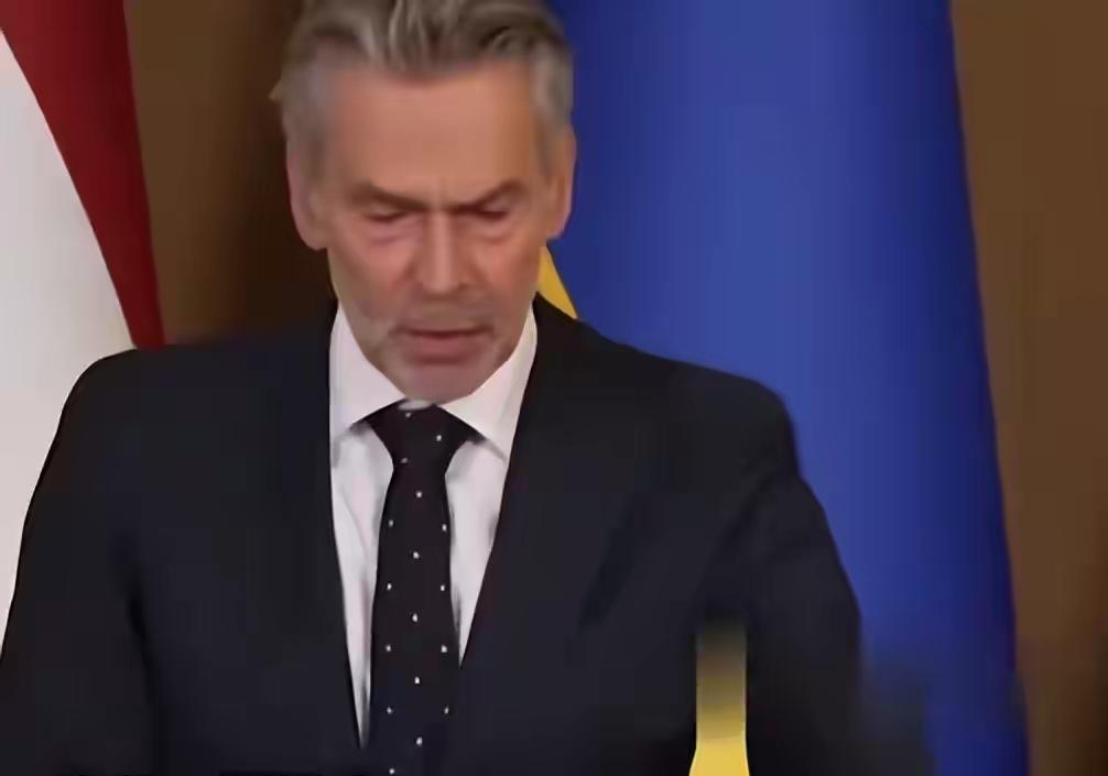 大选失败！荷兰安世事件始作俑者斯霍夫，真应了那句“自作孽不可活”的老话！就在万圣