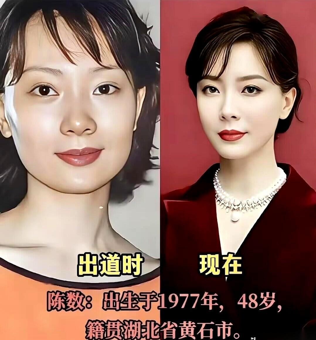 48岁的陈数，又一次在镜头里晃了大家的眼。哪怕已经到了快奔五的年纪，她站在灯光