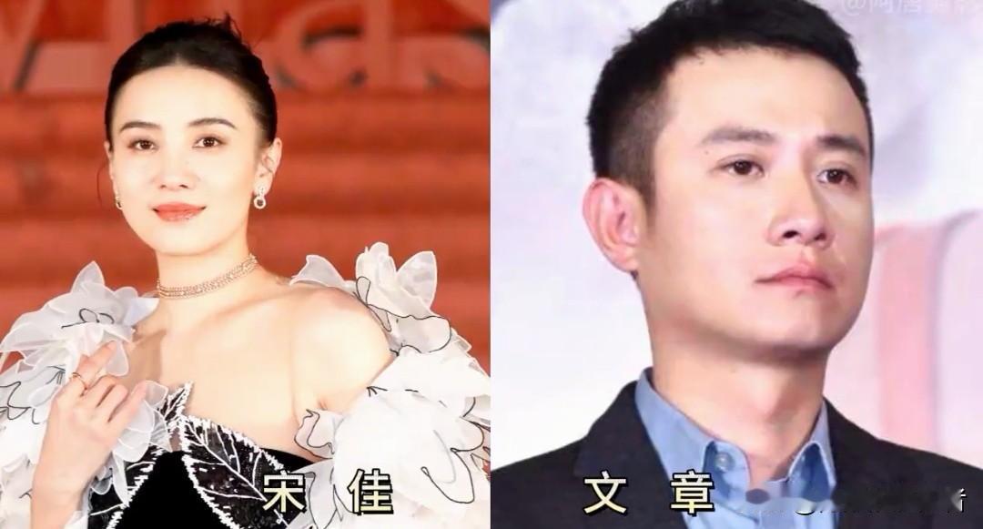 被宋佳“合作过”的十位男星，个个都是实力派。宋佳在演艺圈人缘好、戏路广，和不少