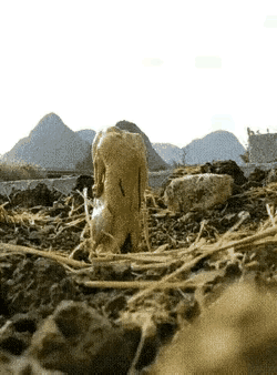 火候过了，食材就成垃圾。恰到火候，食材才成美味。凡事讲究一个度，过犹不及，适可而