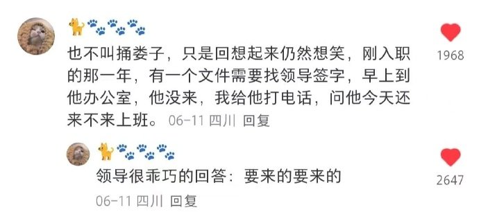 看的我厌蠢症又犯了