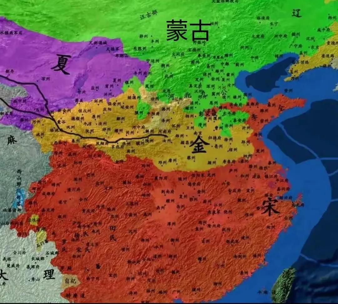 金人自野狐岭败后，决策就完全错了，应该把北边让出，迁都开封，构建黄河防，并且和南