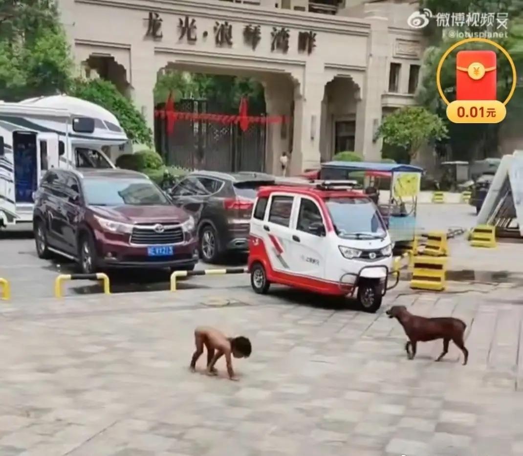 真的是父母吗？这种违反人性的行为没有dna鉴定很难让人相信是亲生父母吧。其次，就