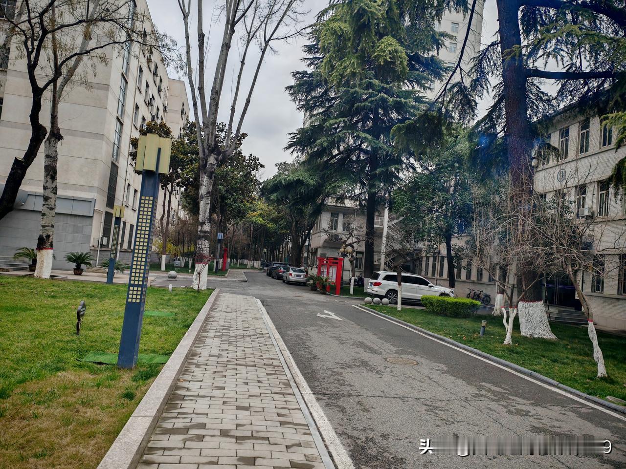 今晚的晚餐，共4家人。老朋友郭处长副厅退休，好兄弟许某在职正处，一小兄弟转业省财