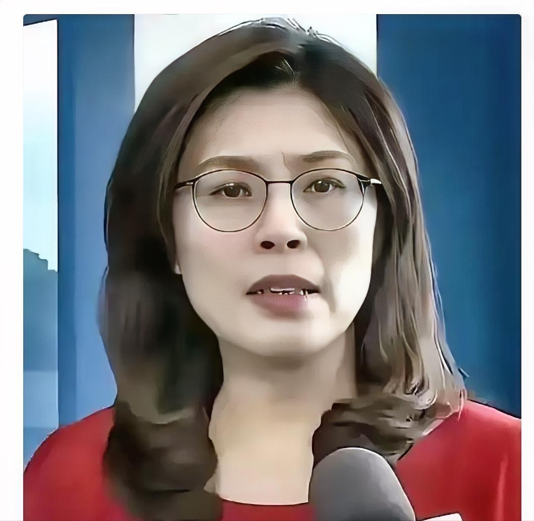 国民党主席郑丽文发布声明目前的天然气库存只剩下一周的量，全岛有一半的电力要靠天