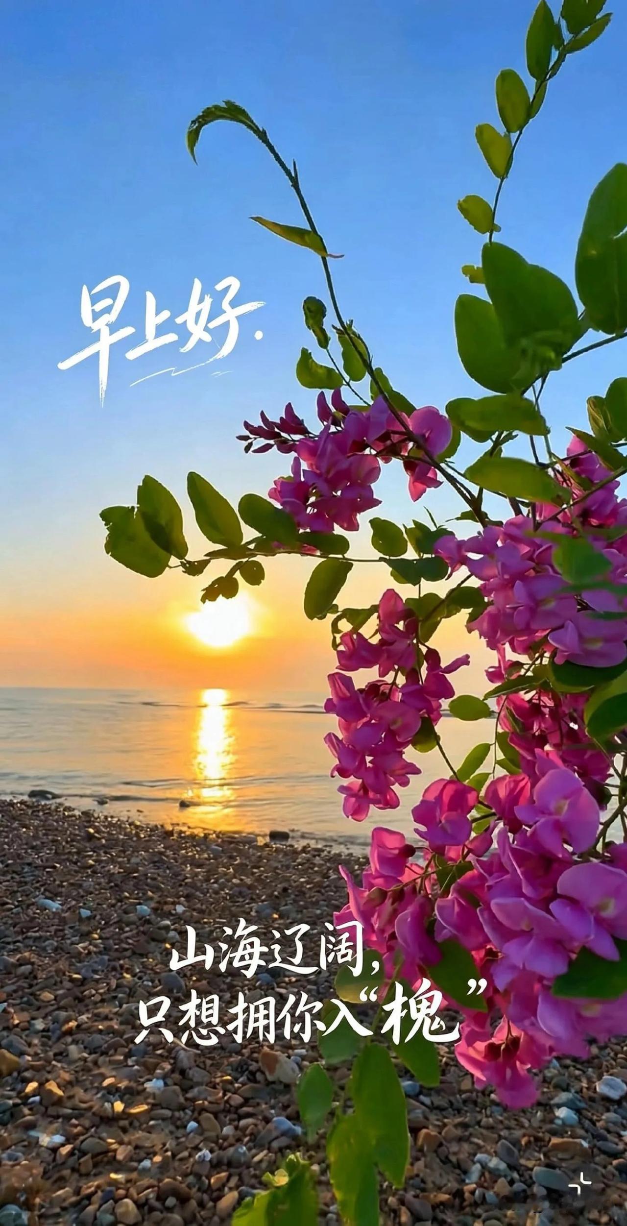 把烦恼留在昨夜，带着欢喜迎接清晨，早安。