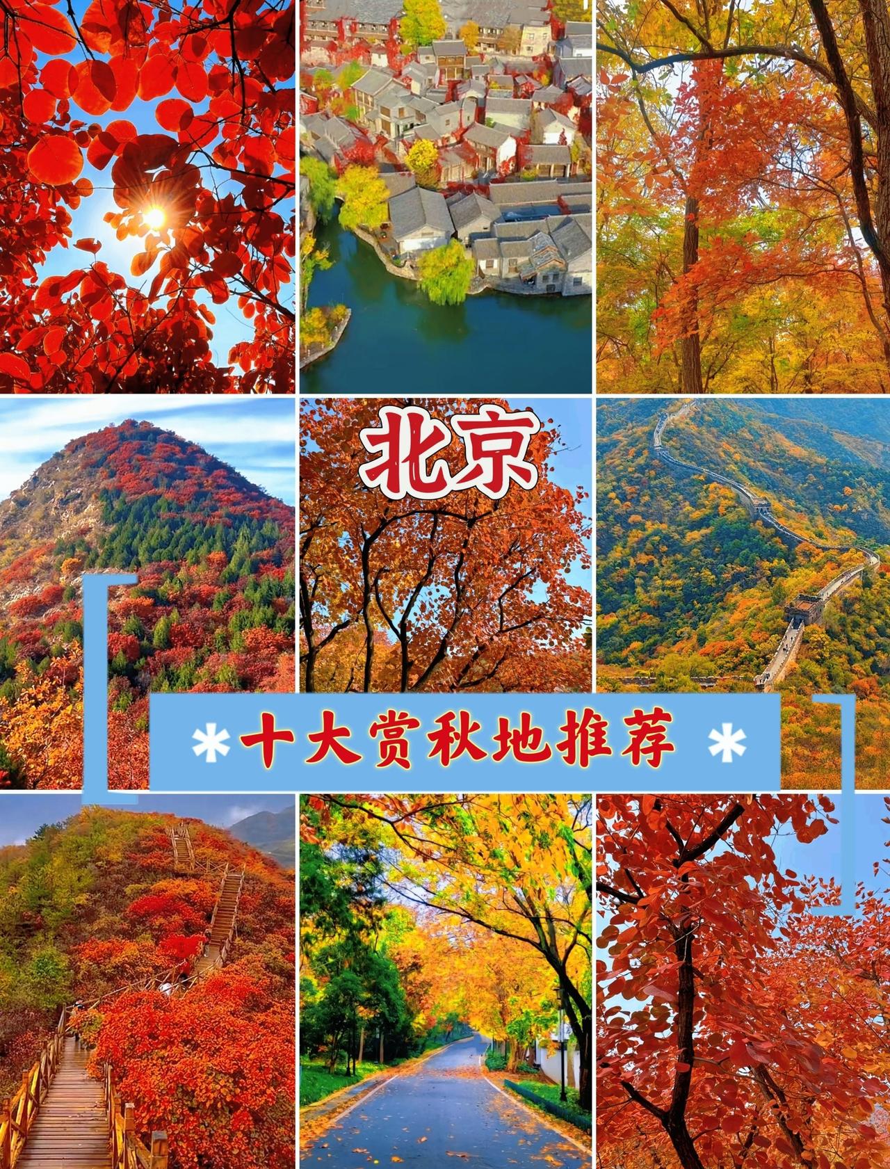 👉北京的秋天是短暂却浓烈的，斑斓的色彩像是打翻了调色盘，趁着秋意正浓，一起去邂