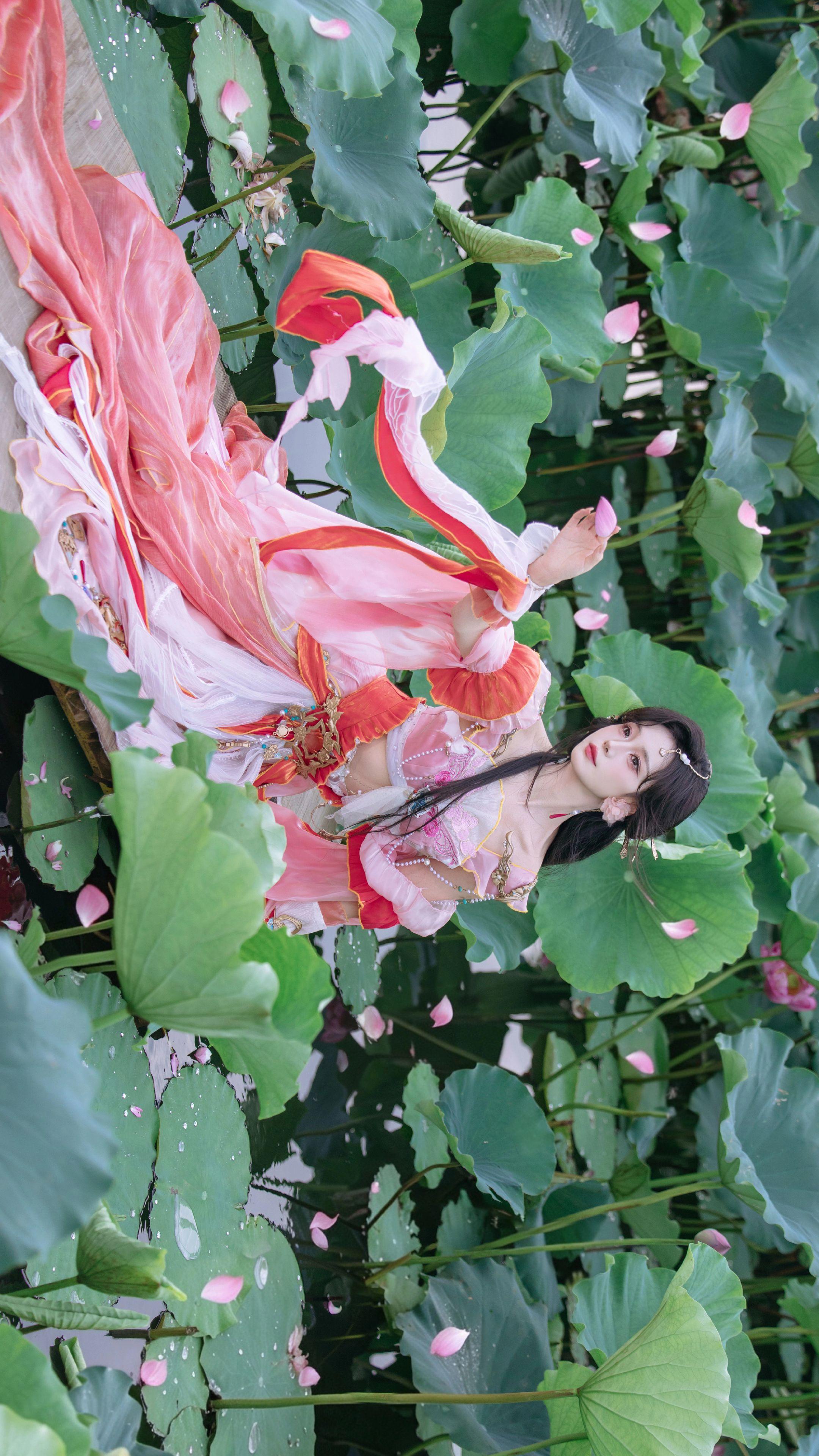 飞花如梦～高清的壁纸 摄影：本人 出镜