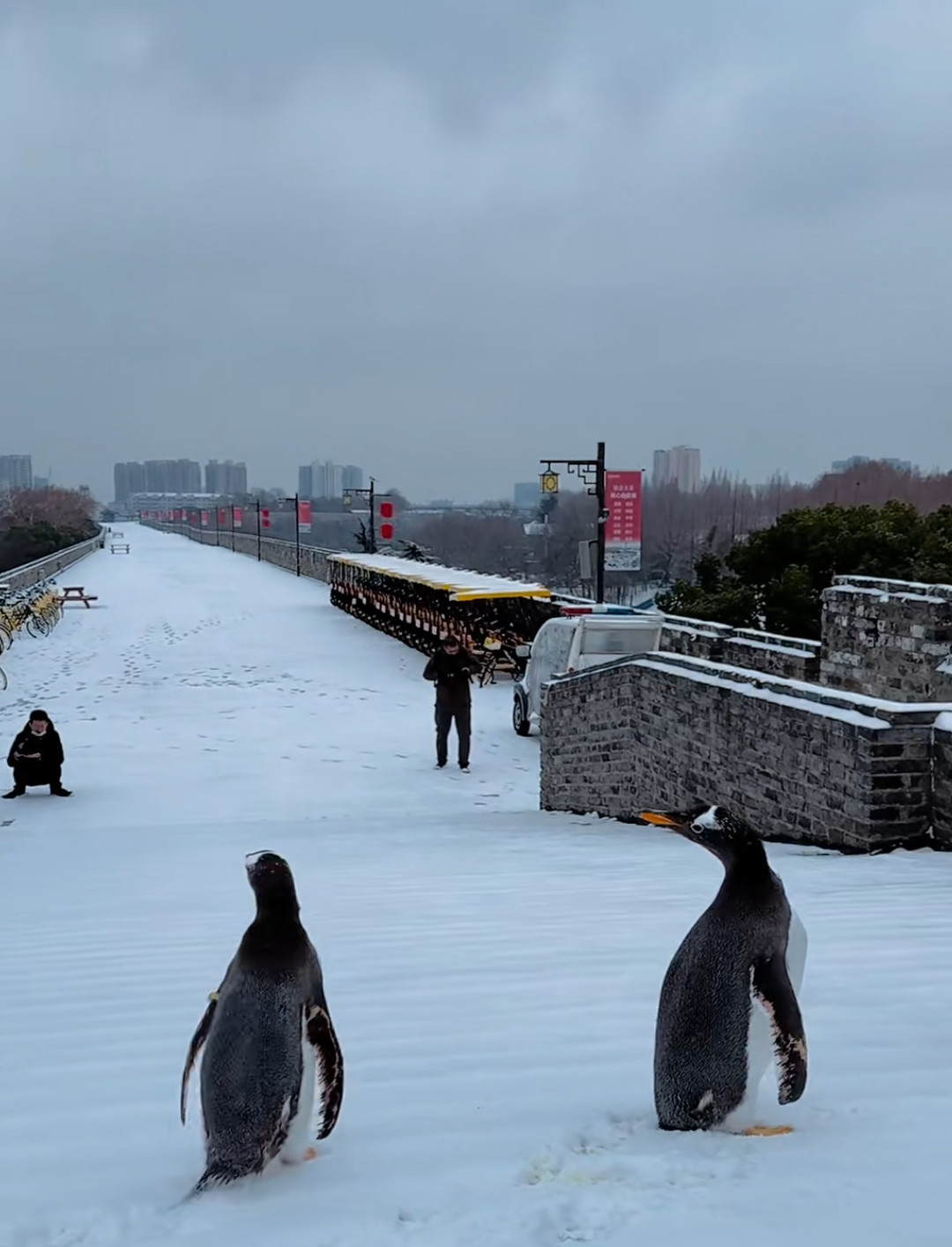 一下雪，南京就成了南极