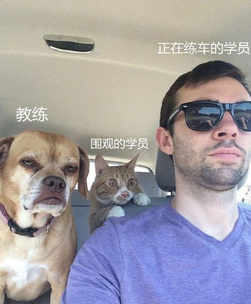 很真实了