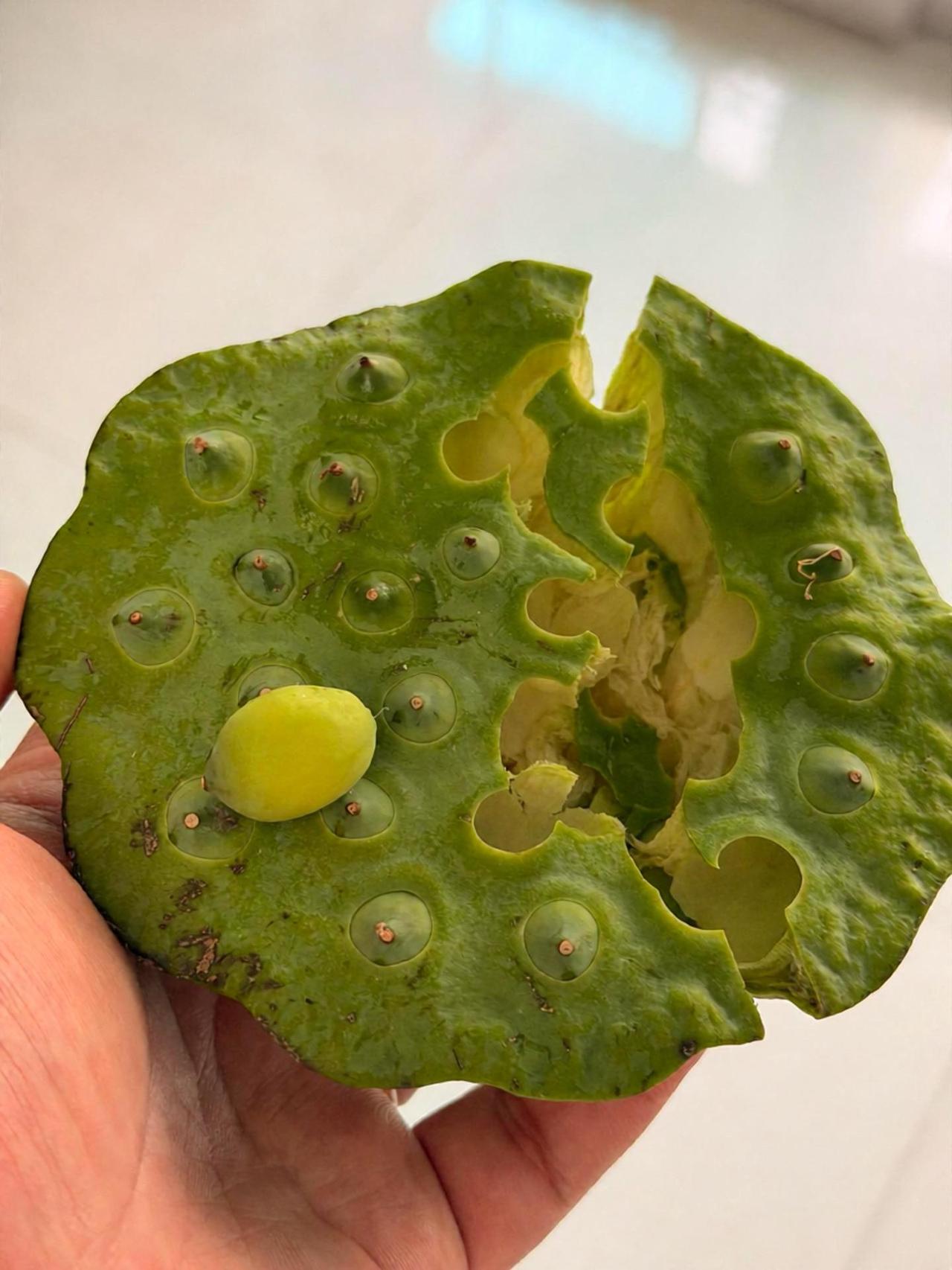 这个季节这个太好吃了