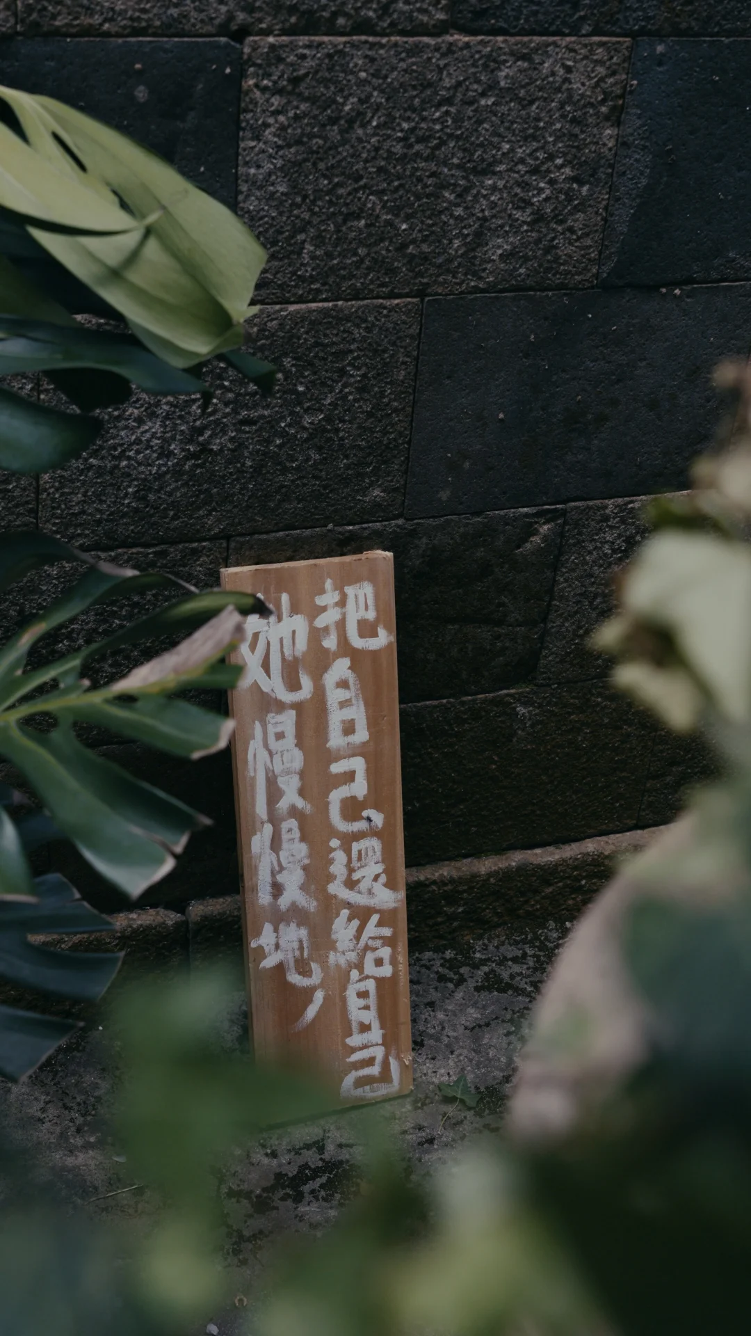 把自己还给自己｜平潭书店