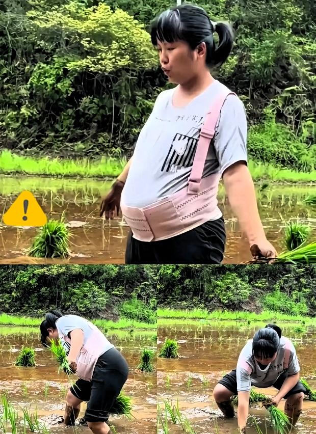 湖南怀化乡村一段视频引发热议：怀孕八个月的孕妇赤脚踩进泥水田插秧，丈夫站在田埂递