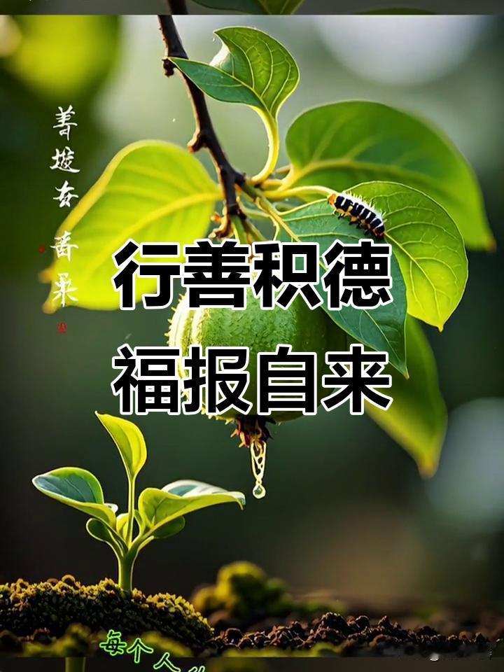 人为什么要积德行善，答案都在这里人这一生，本就是一场修行。万般世事