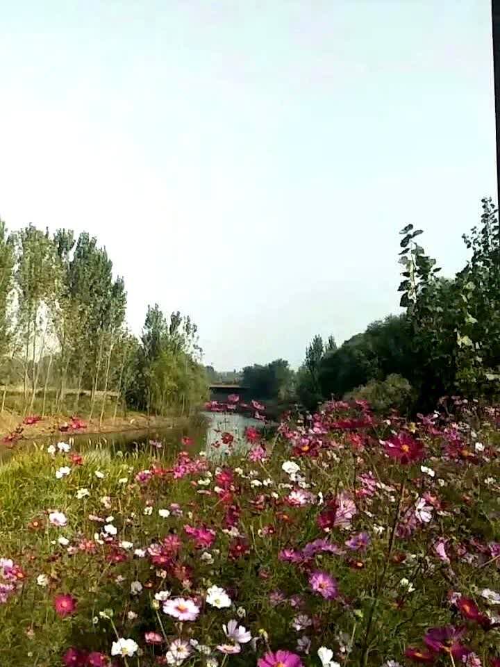 昨天去一单位办退休相关事宜，到那一看办事员竟是我十多年前在驾校教过的一学员刘全，