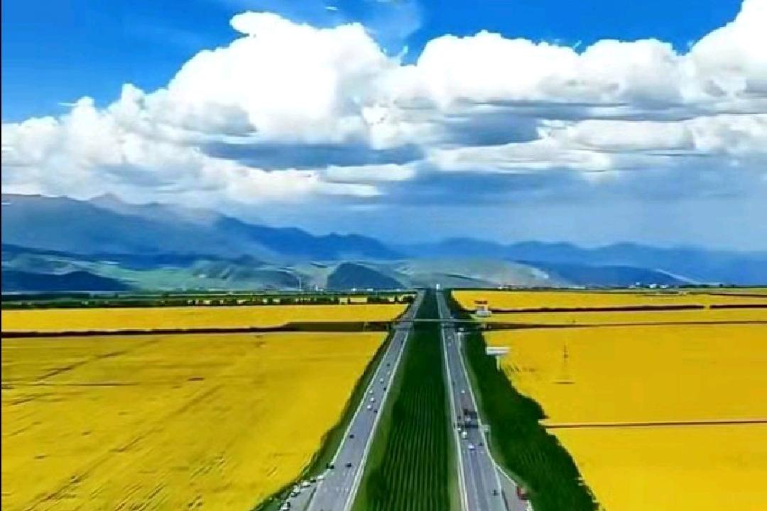 一位老教师的话，点醒无数备考高中生！想考好大学，真不用门门拔尖，那是天才的事