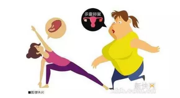 常见的多囊减肥误区, 你都中招了吗?