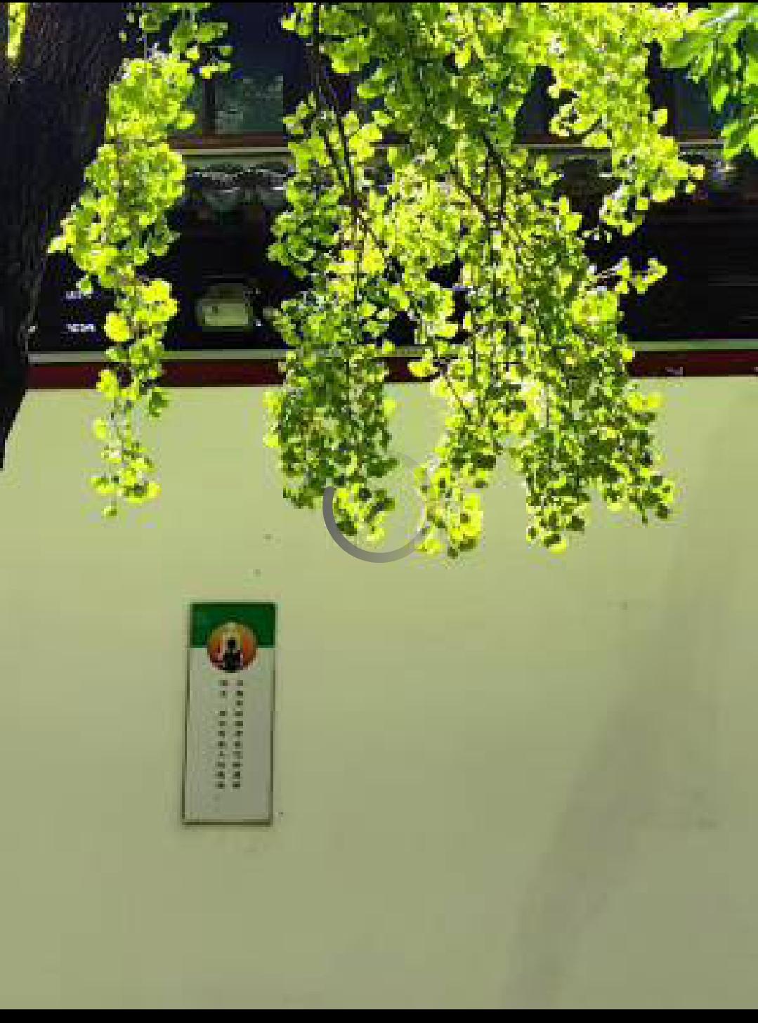 儿子的成绩一直稳定在班上几十名，进入高三了，上的又是很普通的高中，明年高考想考取