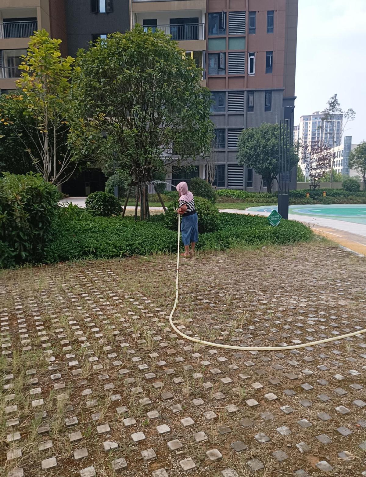 保安不是超人，但天天被当超人使。队长微信秒回，业主电话秒接，狗屎得自己铲，工资