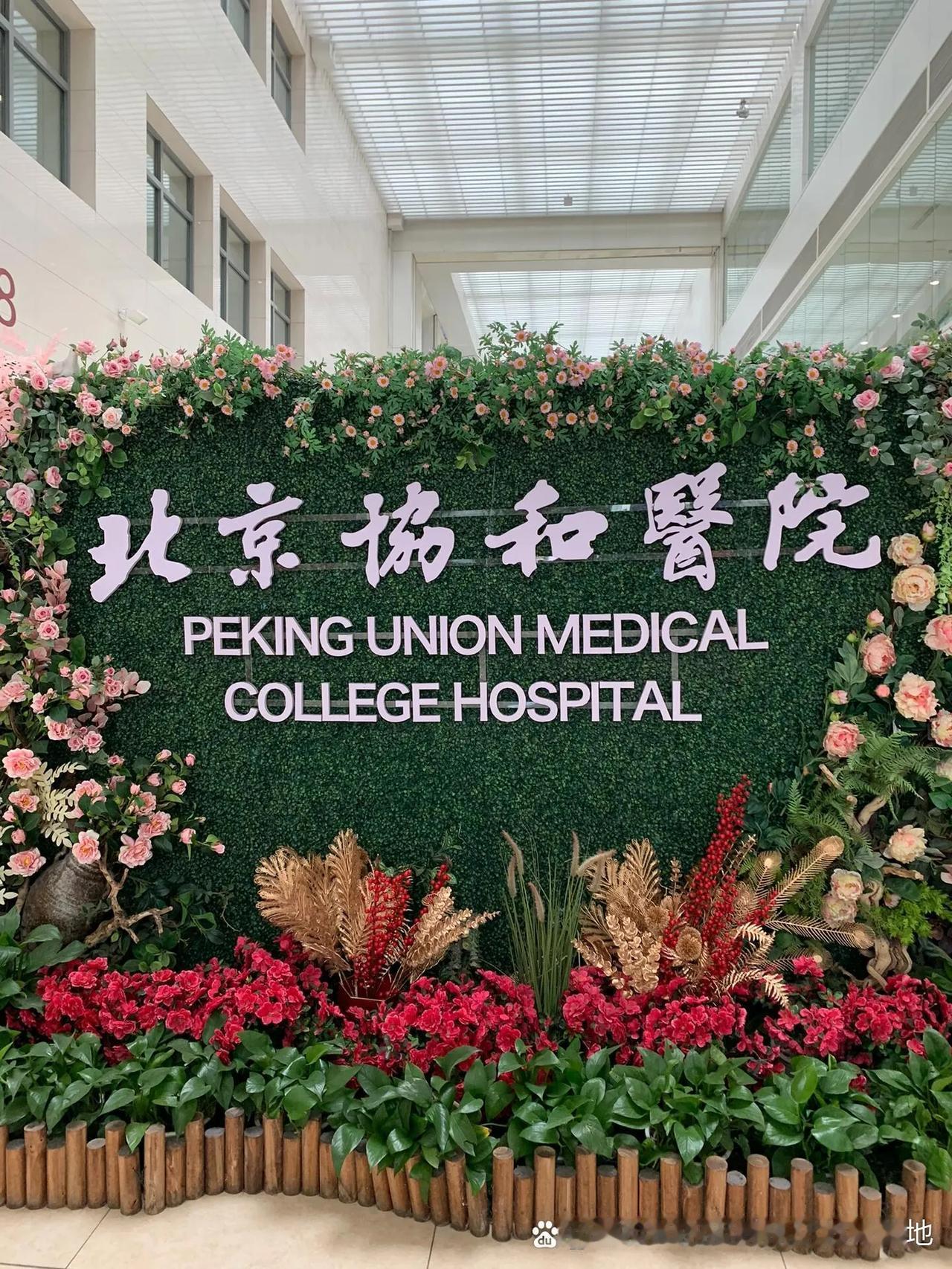 一波未平一波又起！现在去北京协和医院看病还俏吗？据说该院又出大事，用错抗凝剂导致