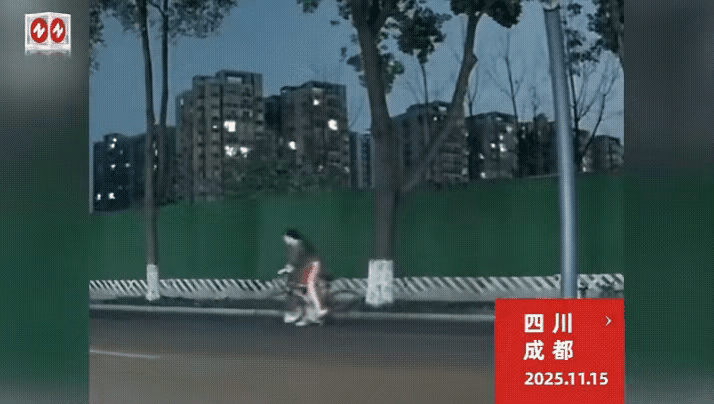 狗绊倒骑车女孩，导致重伤开颅，狗主人的责任不能止于赔钱，还应坐牢！成都的大