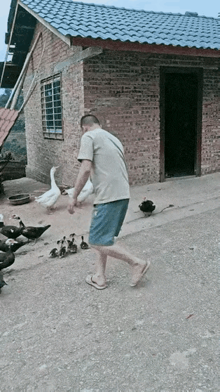 你敢抱走它的小崽，它妈妈能饶过你吗？