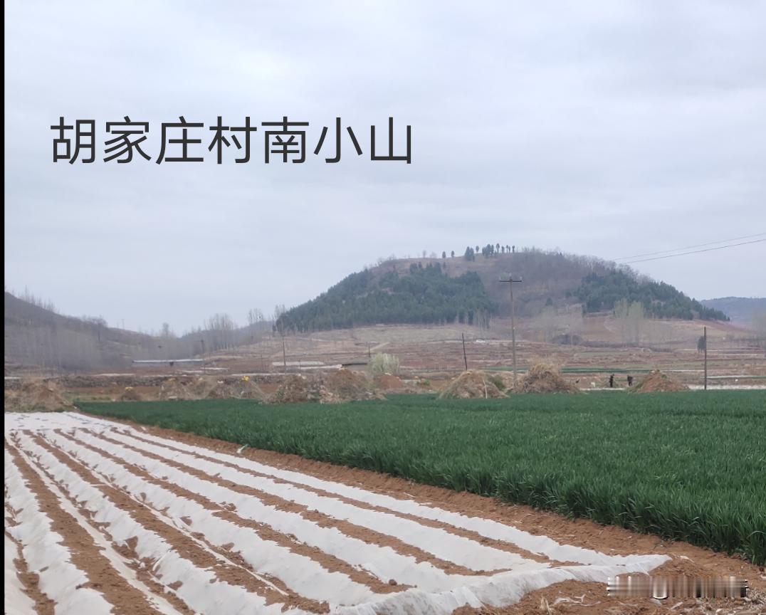 村子里的抗日伏击战，一场真实的抗日战斗！1940年12月30日，早上天刚刚亮，