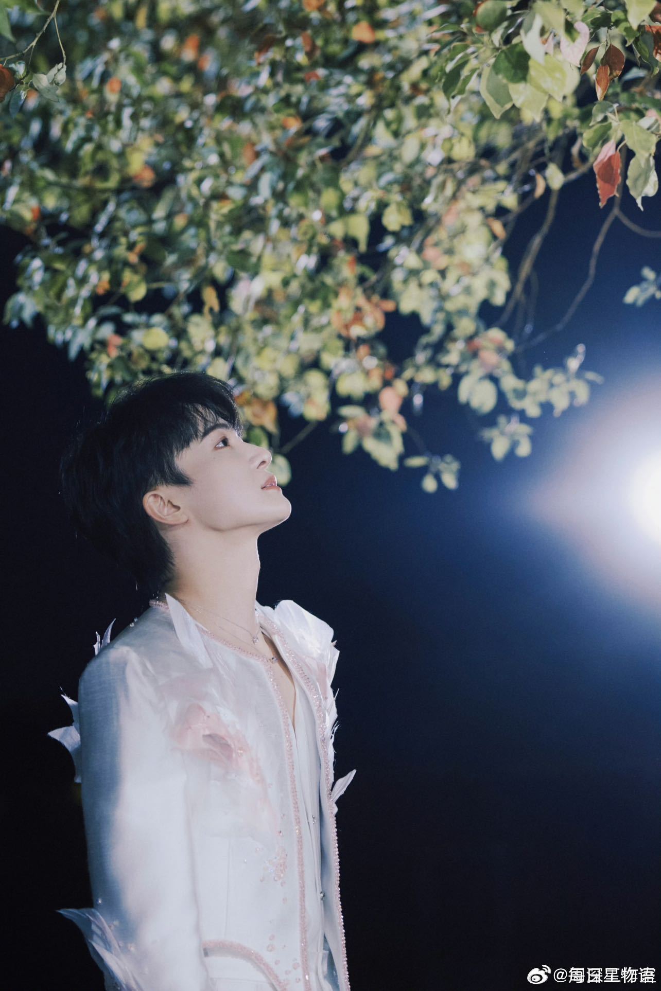 周深樱花树下站谁都好看周深工作室出图周深工作室出图速度在线，这组傍晚春风格调自