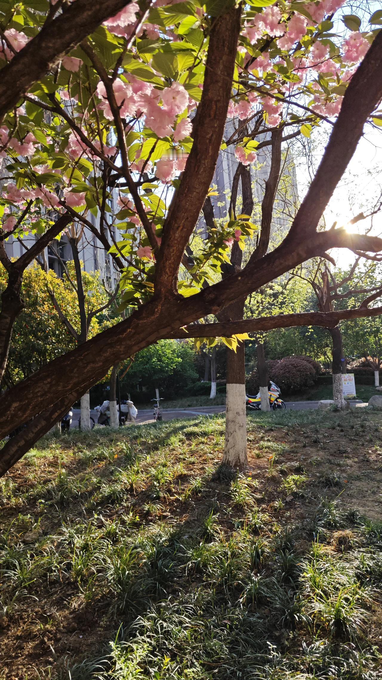 杨绛活到105岁，沈燮元活到100岁。他们之间有一个惊人的共同点，不是吃什么，也