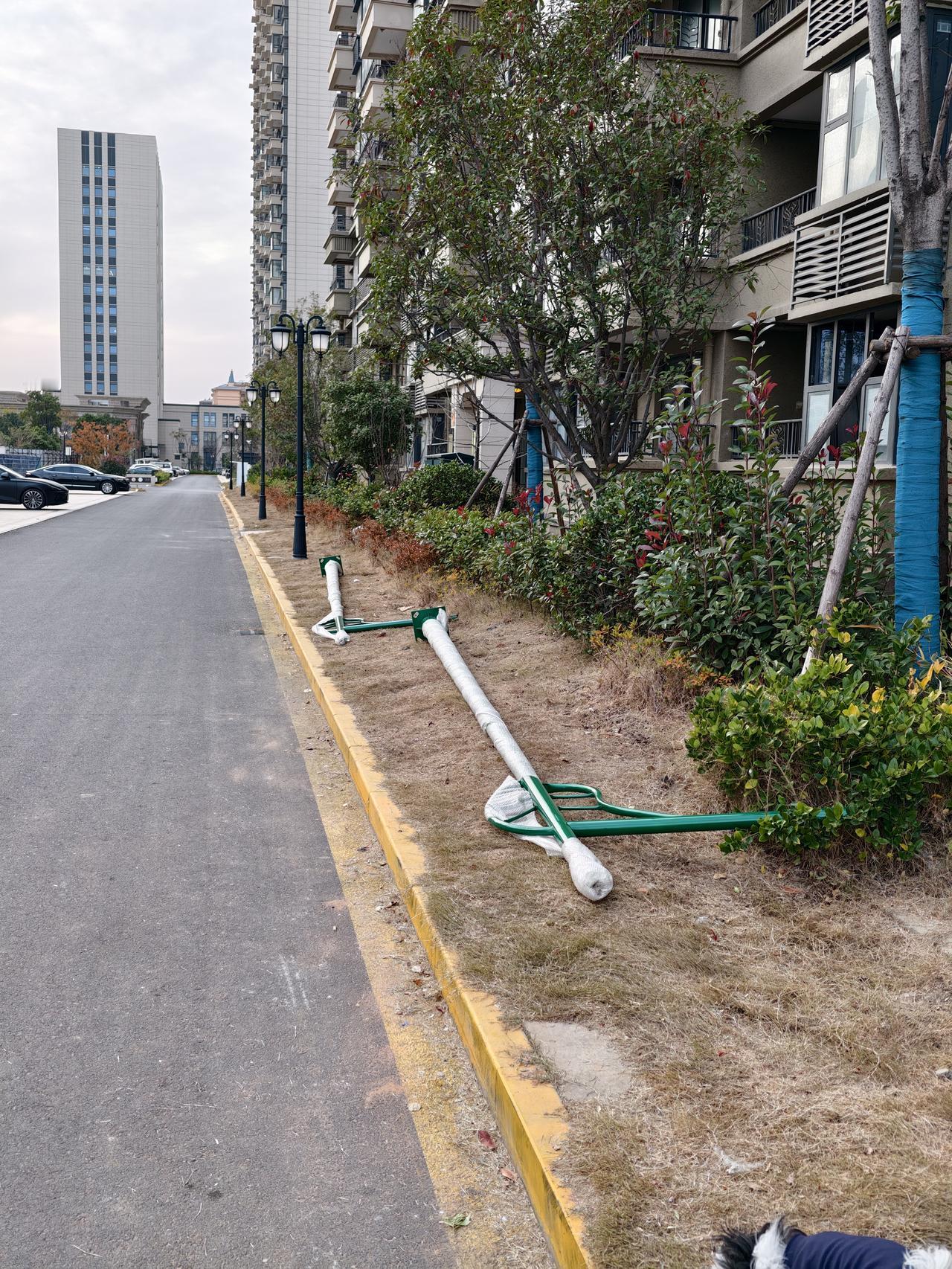 今天是金碧物业走后的第39天。我们这幢楼的一位业主捐献了两个路灯，这位业主在