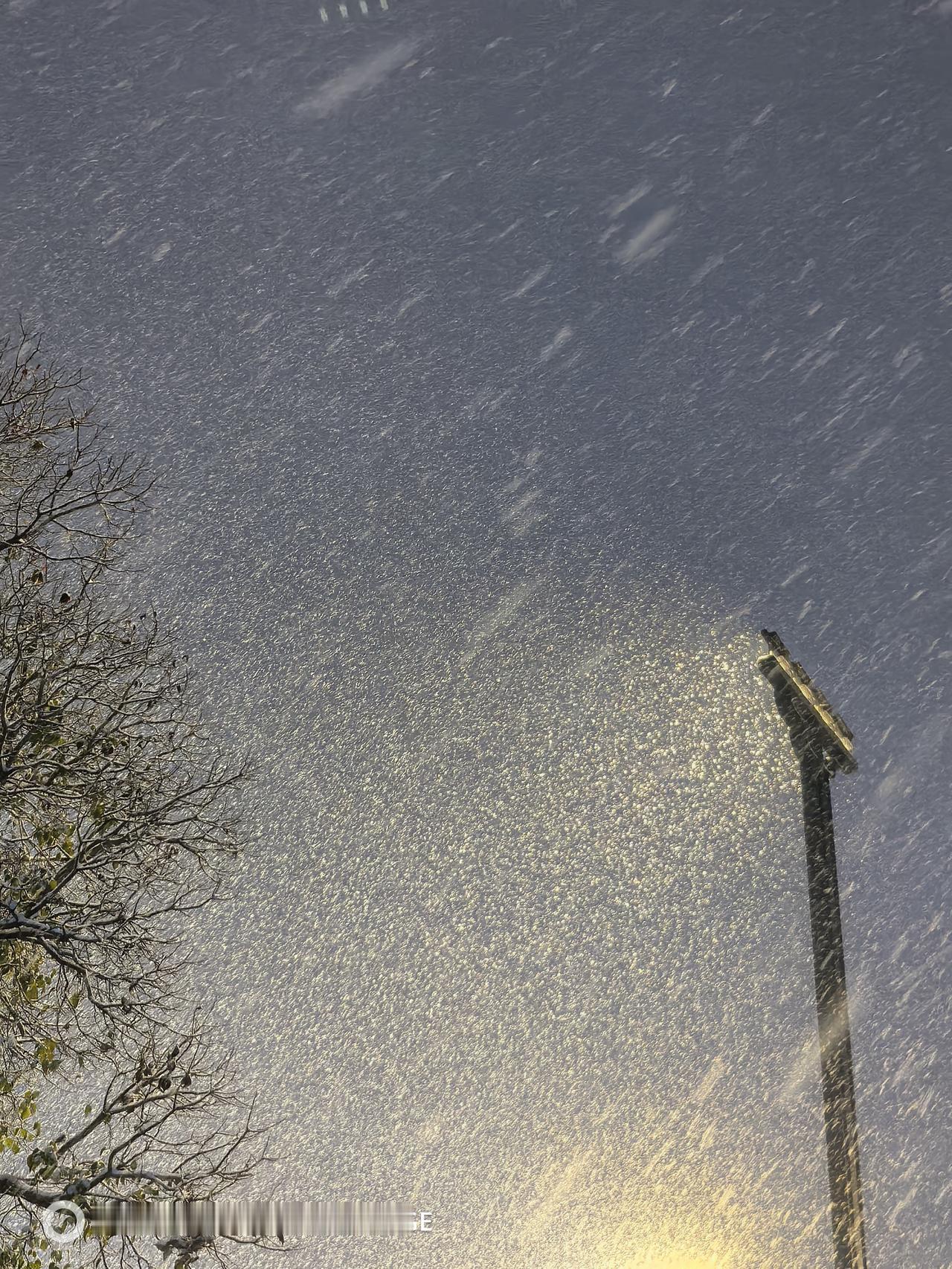 中年人的结婚纪念日怎么过？昨天晚上，席间，老哥说，我额外端一杯，今天是我和你嫂