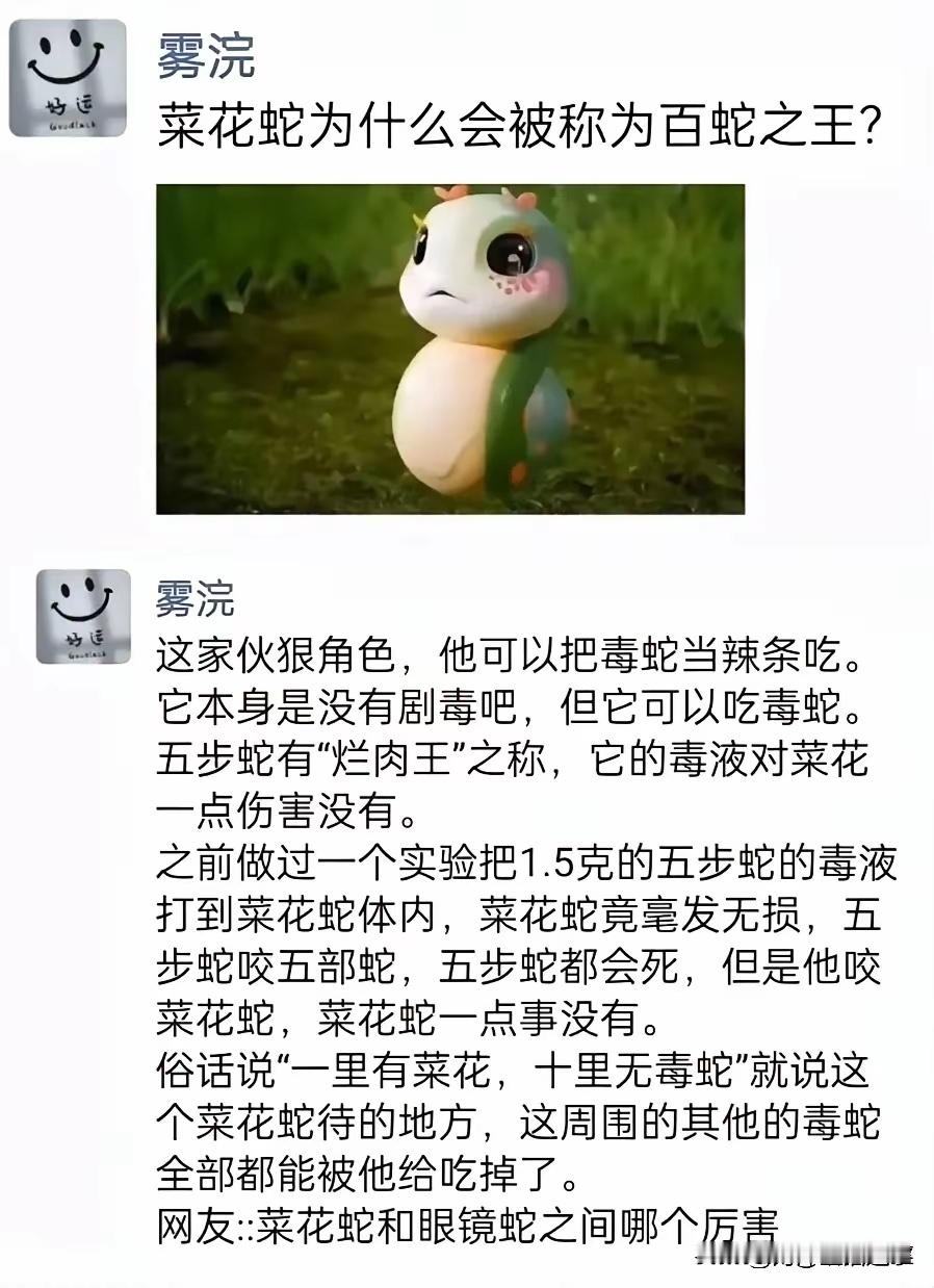 据说这东西特别臭，把其他蛇臭晕了没战斗力