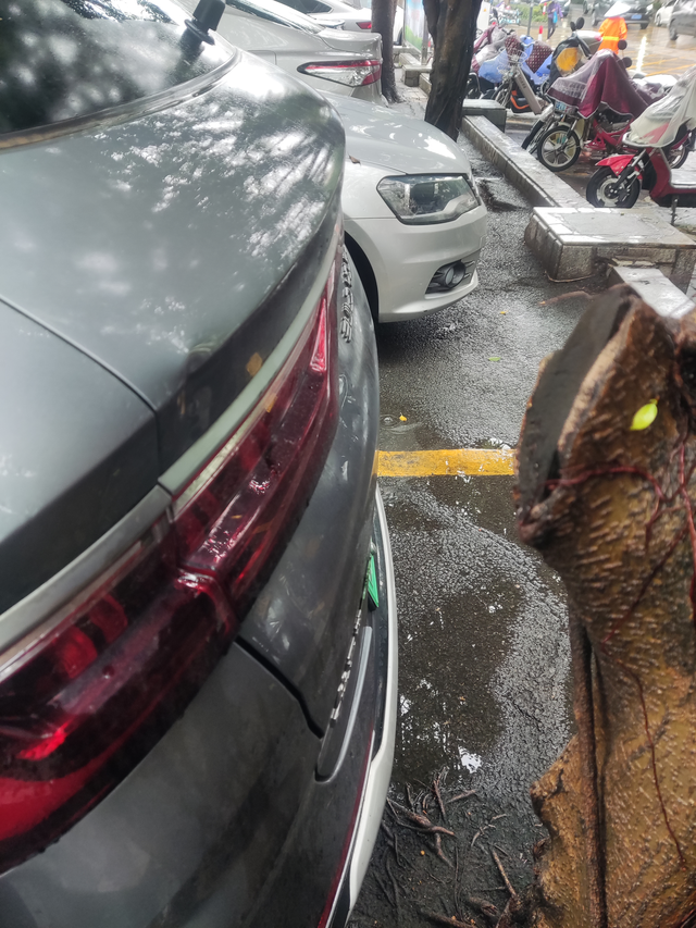 请问各位车友这样有必要报保险吗倒车怼树上了，盲区没看到，这样有必要报保险吗？外