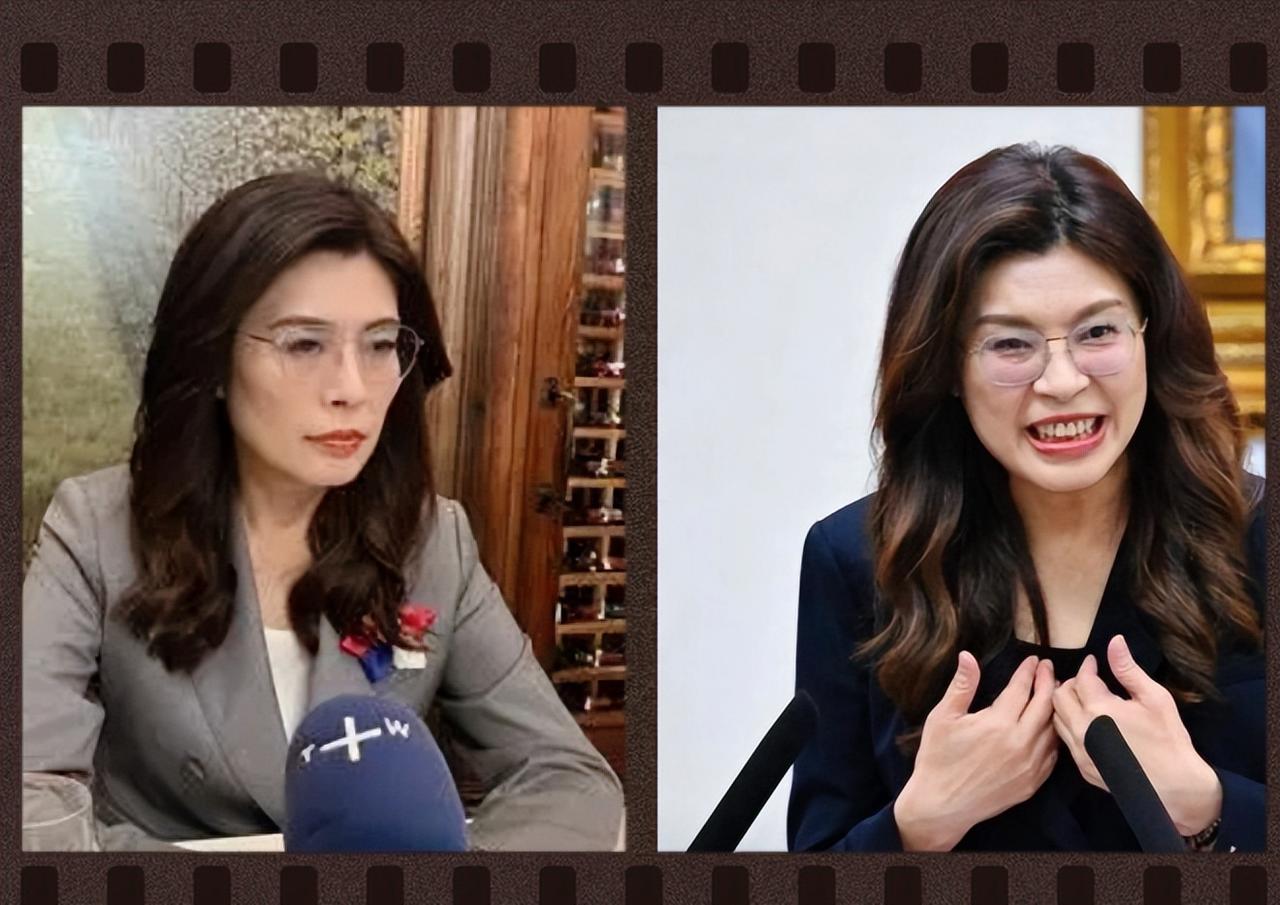 6·20国台办定调后，郑丽文这句"欧盟模式"，把蓝营底裤都扒下来了 6月20