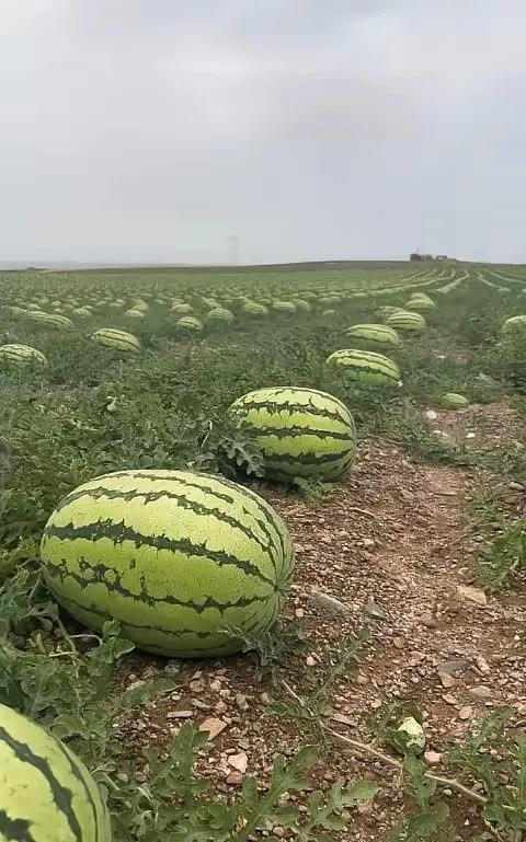 单位今天迎来人事部同志来单位考察干部朋友原本以为自己可以轮到了，这次快退休了要