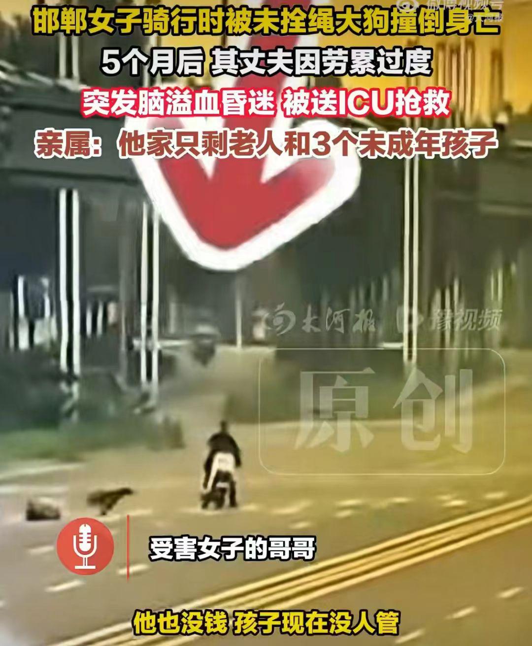 12月16日，河北邯郸，女子被大狗撞倒身亡，丈夫讨公道住进ICU，三个孩子将面临