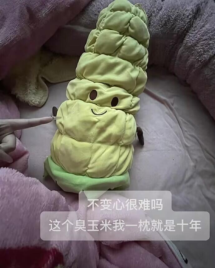 当代大学生能有多长情