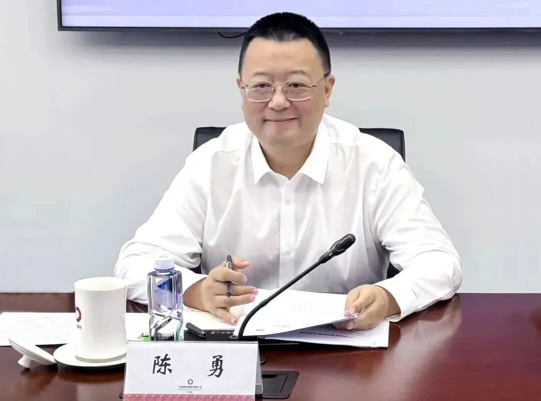 打虎! 陈勇被查