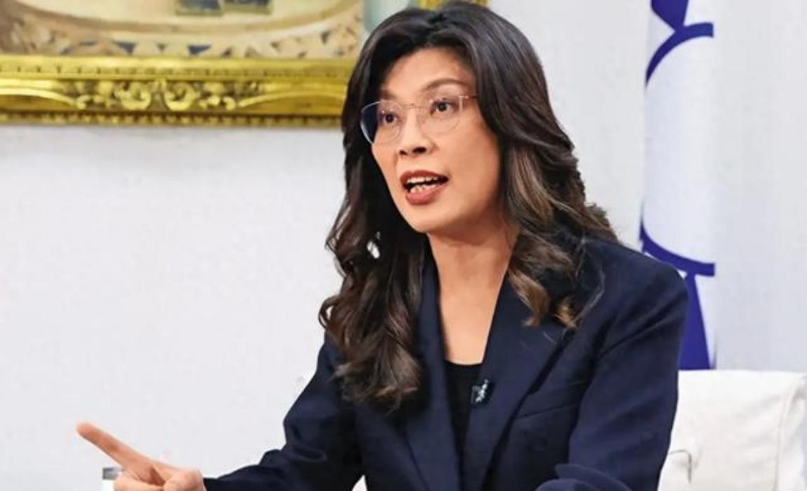 台湾蓝营终于和大陆观点一致了，不接受一国两制！台湾国民党主席郑丽文在接受专访时曾